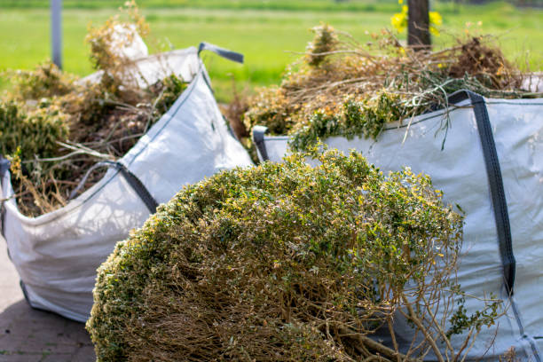 Best Local Junk Hauling  in Rural Retreat, VA